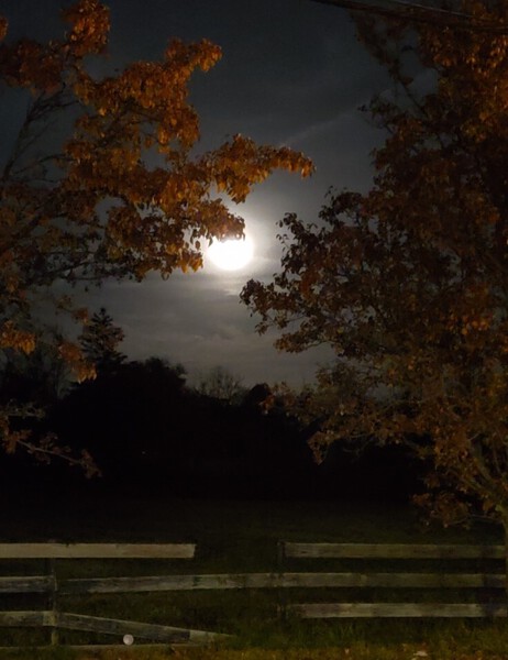 Moon Pic 3 by Casey Ann Croucher