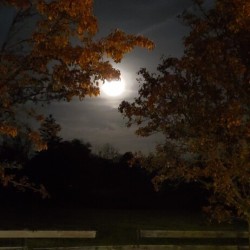Moon Pic 3
