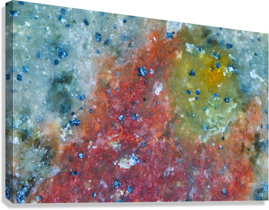02 Canvas Print