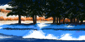Edge of Round Prairie