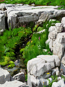 Spring Source On Scapegoat