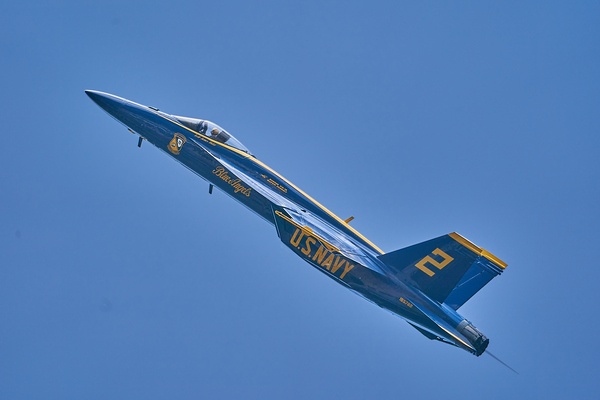 Blue Angels 9999 Print