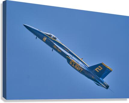 Blue Angels 9999 Canvas Print