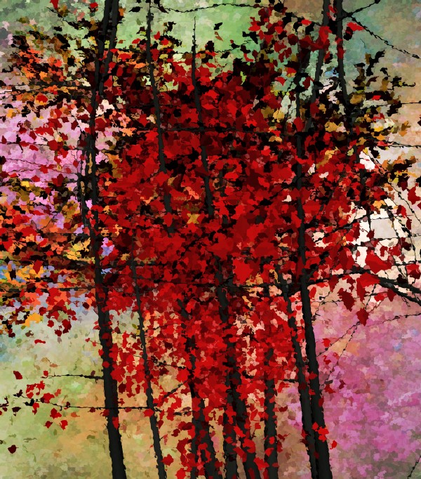 Red Trees Print