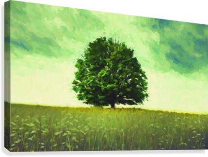 Lonely tree Canvas Print