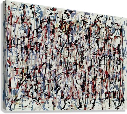 Pollock Wink Canvas Print