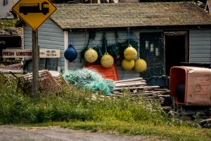 Yellow Floats NS