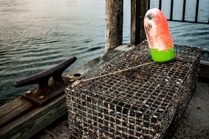 Lobster Float Bar Harbor