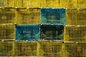 Lobster Traps NS