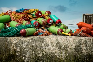 Lobster Floats NS 1115