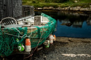 Turquoise Net NS