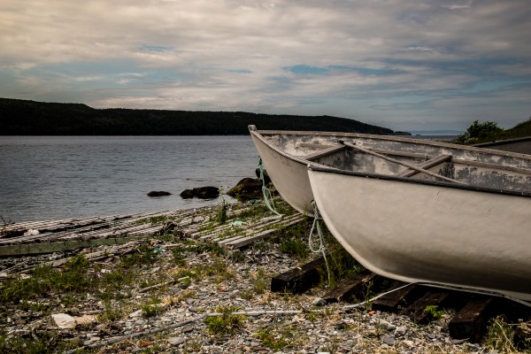 Grounded NS 1432 Print