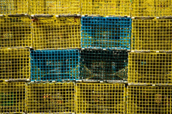 Lobster Traps NS Print