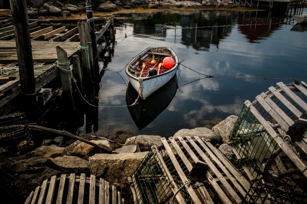 Orrange Float NS Print