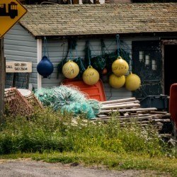 Yellow Floats NS