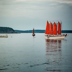 Red Sails