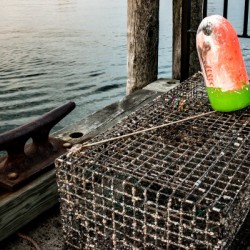 Lobster Float Bar Harbor