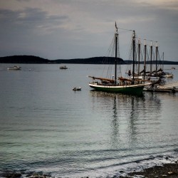 Bar Harbor 3668