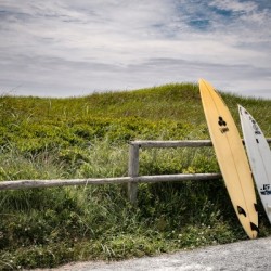 Surfing NS