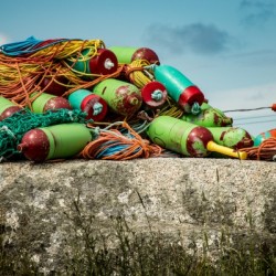 Lobster Floats NS 1115
