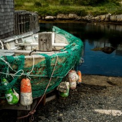 Turquoise Net NS