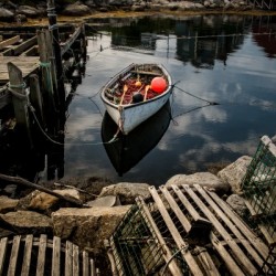 Orrange Float NS