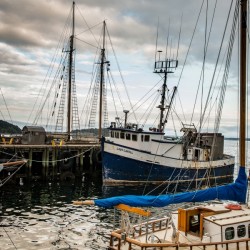 Masts NS