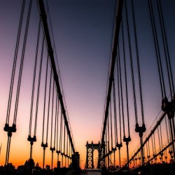 New York 2035