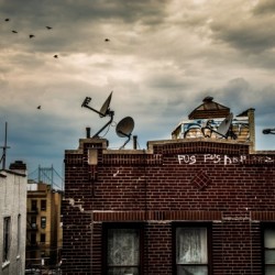 Astoria Queens 2028