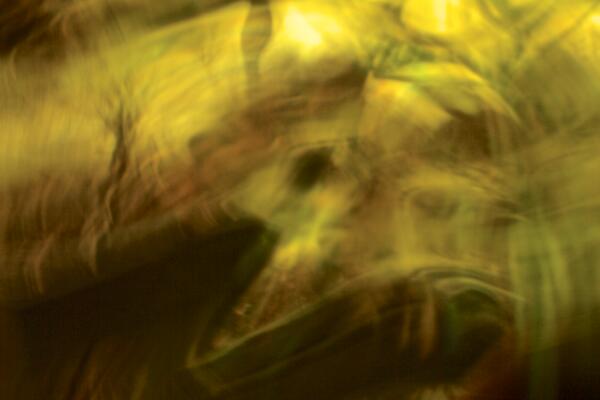 Ghostly by SteveF
