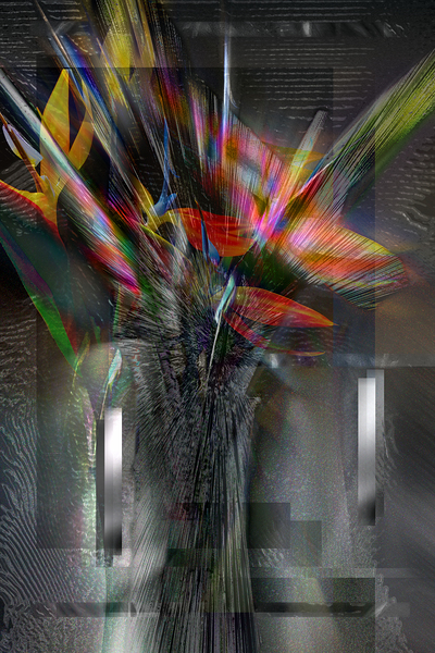 Digital Thread Print