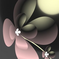 Flores que Resistem