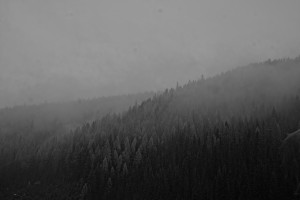 Misty Mountain by Split Imagery