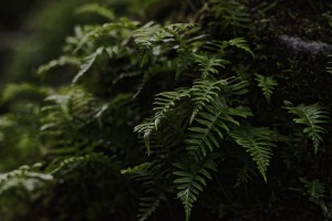  DSC7086smallerbutbigger by Split Imagery