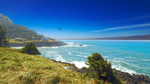 Blue Skies along the Oregon Coast