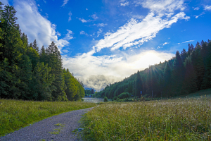 Dewdrops in the Wild Flower Fields and Misty Mountains     Lake Riessersee and the mountains of the southern Ammergauer Alps Near Garmisch in Germany
