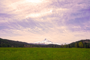 Mount Hood Bathed in Golden Rays at Sunset
