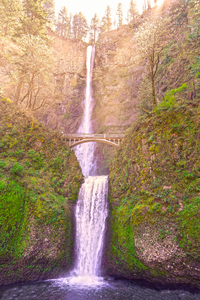 Multnomah Falls Bathed in Sunlight   Columbia River Gorge National Scenic Area   Oregon Pacific Northwest