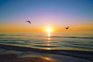 Softly Came the Night LANDSCAPE Gulf of Mexico Florida USA