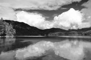 The Black and White Collection 109 for the Rare Masters Series Limited Patron Edition Printing of 50