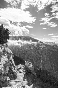 The Black and White Collection 117 for the Rare Masters Series Limited Patron Edition Printing of 50