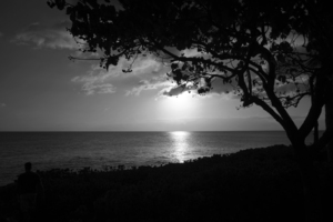 The Black and White Collection Number 21 for the Rare Masters Series Limited Patron Edition Printing of 25