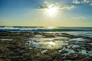 Waves Breaking on the Sea Shore   Hawaii