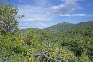 Back Country Utah 6 of 6
