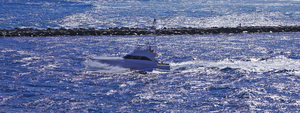 In the Blue Blue Sea   The Sailfish Tournament and Derby Collection Singer Island West Palm Beach Florida