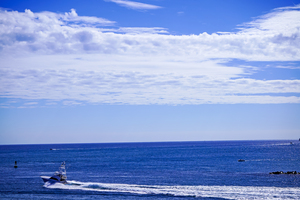 Its All About the Sailfishing 4 of 4  LANDSCAPE   The Sailfish Tournament and Derby Collection Singer Island West Palm Beach Florida