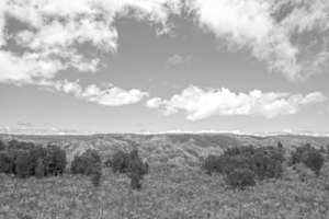 BW Beautiful View to Distant Waipoo Falls in Waimea Canyon on the Island of Kauai