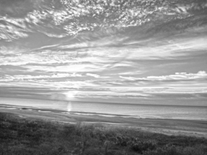 BW Carolina Sunrise - South Carolina United States