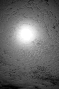 BW Cotton Candy Clouds 2 of 2
