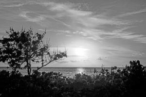 BW Delicate Sunset Hawaiian Islands
